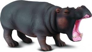 Figurka Collecta Hipopotam (004-88029) 1
