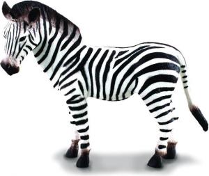 Figurka Collecta Zebra (004-88032) 1