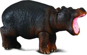 Figurka Collecta Hipopotam młody (004-88090) 1