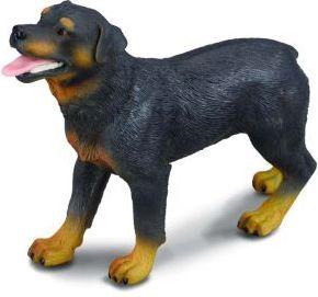 Figurka Collecta Pies rasy Rottweiler (004-88189) 1