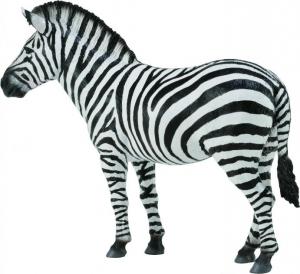 Figurka Collecta Zebra Common (004-88830) 1