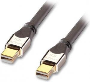 Kabel Lindy DisplayPort Mini - DisplayPort Mini 5m srebrny 1