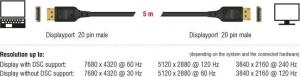 Kabel Delock DisplayPort - DisplayPort 5m czarny (85663) 3