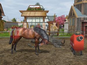 WILDLIFE PARK 2: ŚWIAT KONI WER.2 PC 2