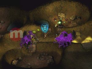 Saga Icewind Dale PC 9