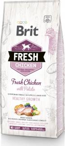 Brit Fresh Chicken With Potato Puppy Healthy Growth 2.5kg 1