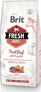 Brit Fresh Beef & Pumpkin Puppy Large Growth & Joints 12kg 1