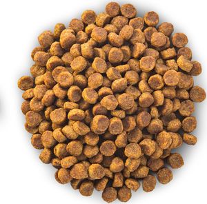 Hills  Hill's Science Plan Adult 1-6 Small & Miniature sausas maistas šunims su ėriena ir ryžiais, 1,5 kg 3