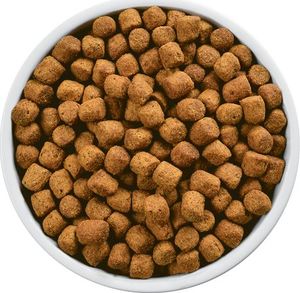 Hills  Hill's sausas maistas Prescription Diet r/d Canine, 4 kg 3