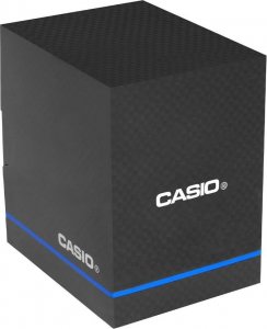 Zegarek Casio Vyriškas laikrodis MTP1302PL-7B 7