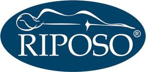 Riposo Antčiužinis Riposo Bamboo 80x190 cm, 3,5 cm 5