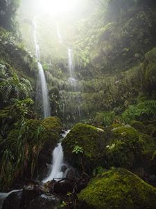 Obiektyw Panasonic Leica DG Vario Elmarit Leica M 12-60 mm F/2.8 OEM 4