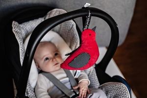 Whisbird Whisbird - Szumiący Ptaszek (czerwień) 2