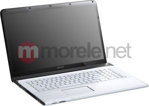 Laptop Sony Vaio SVE1713S1EW 1