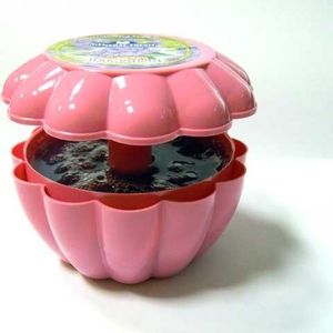 General Fresh Oro gaiviklis Gel Fresh Lavender 150g 2