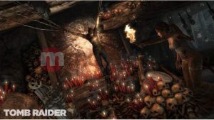 Tomb Raider (2013) PC 5