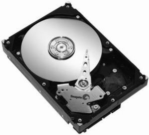 Dysk Seagate 3.5"  (ST3500630NS) 1