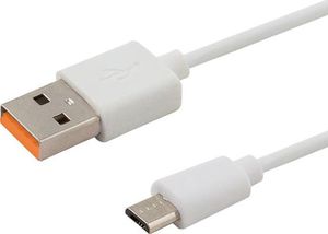 Kabel USB Savio USB-A - 1 m Biały (SAVIO CL-127) 1