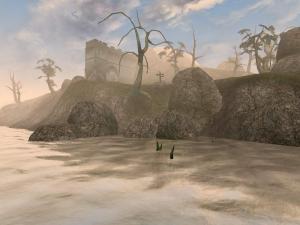 The Elder Scrolls III Morrowind GOTY PC, wersja cyfrowa 4