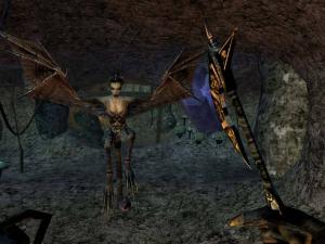 The Elder Scrolls III Morrowind GOTY PC, wersja cyfrowa 7