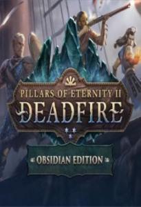 Pillars of Eternity II: Deadfire Obsidian Edition PC, wersja cyfrowa 1