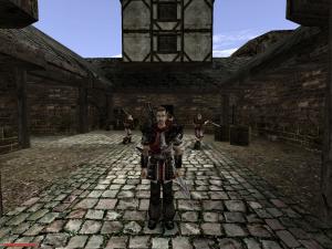 Gothic II: Gold Edition PC, wersja cyfrowa 9