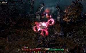 Grim Dawn GOG CD Key 5