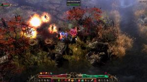 Grim Dawn GOG CD Key 6