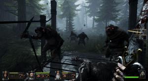 Warhammer: End Times - Vermintide Collector's Edition PC, wersja cyfrowa 20
