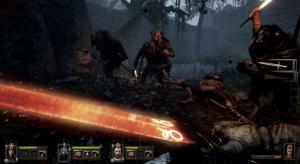 Warhammer: End Times - Vermintide Collector's Edition PC, wersja cyfrowa 4