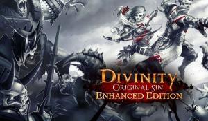 Divinity: Original Sin Enhanced Edition Collector's Edition GOG CD Key 2