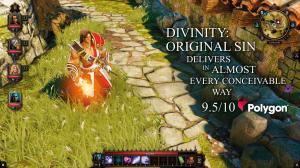 Divinity: Original Sin Enhanced Edition Collector's Edition GOG CD Key 5