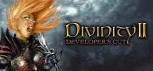 Divinity II: Developer's Cut PC, wersja cyfrowa 1