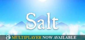 Salt PC, wersja cyfrowa 1
