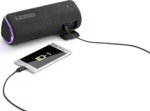 Głośnik Sony SRS-XB31 czarny (SRSXB31B.CE7) 2