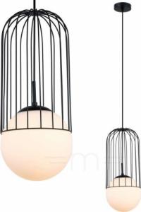 Lampa wisząca Italux Matty MDM-3940/1 BK 1