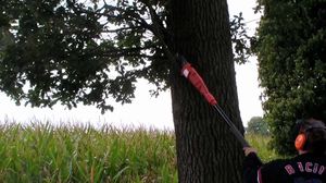 Piła łańcuchowa Hecht 975W piła elektryczna (5155118) 3