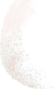 Bourjois Paris De Riz De Java Puder rozświetlający do twarzy Translucent 3.5g 3