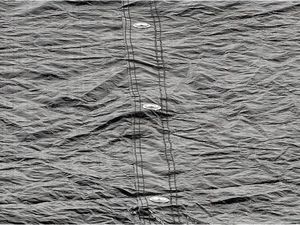 Exit Pokrowiec ochronny na trampolinę 244 cm czarny 3