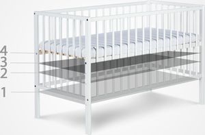 KLUPŚ lovytė RADEK X, ruda 4