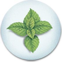 Vicks Wkładki zapachowe 6