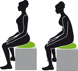 Schildkrot Piłka do siedzenia Seat Cushion Fit (P7836) 6