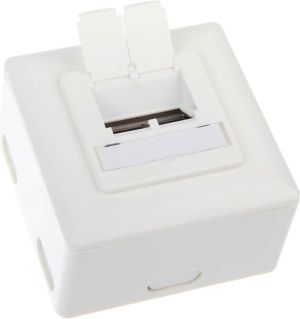 InLine Gniazdo natynkowe sieciowe 2x RJ45 Cat.6 - białe poziome (75602J) 2
