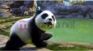 Kinectimals Now With Bears Edycja Kolekcjonerska Xbox 360 4