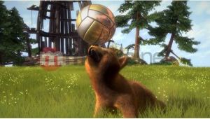 Kinectimals Now With Bears Edycja Kolekcjonerska Xbox 360 5