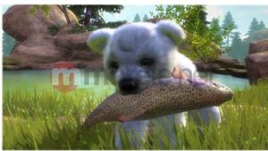 Kinectimals Now With Bears Edycja Kolekcjonerska Xbox 360 6
