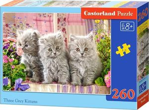 Castorland Puzzle Trzy szare kotki 1