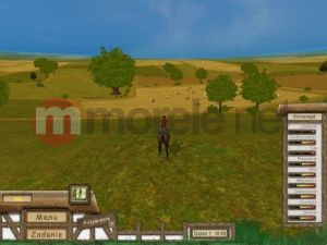 Diamentowa Kolekcja- Stadnina PC 9