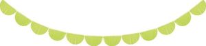 Party Deco Girlanda bibułowa, frędzle, zielone jabłuszko, 3 m. uniwersalny 1