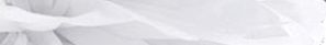 Party Deco Pompon bibułowy, biały, 35 cm uniwersalny 1